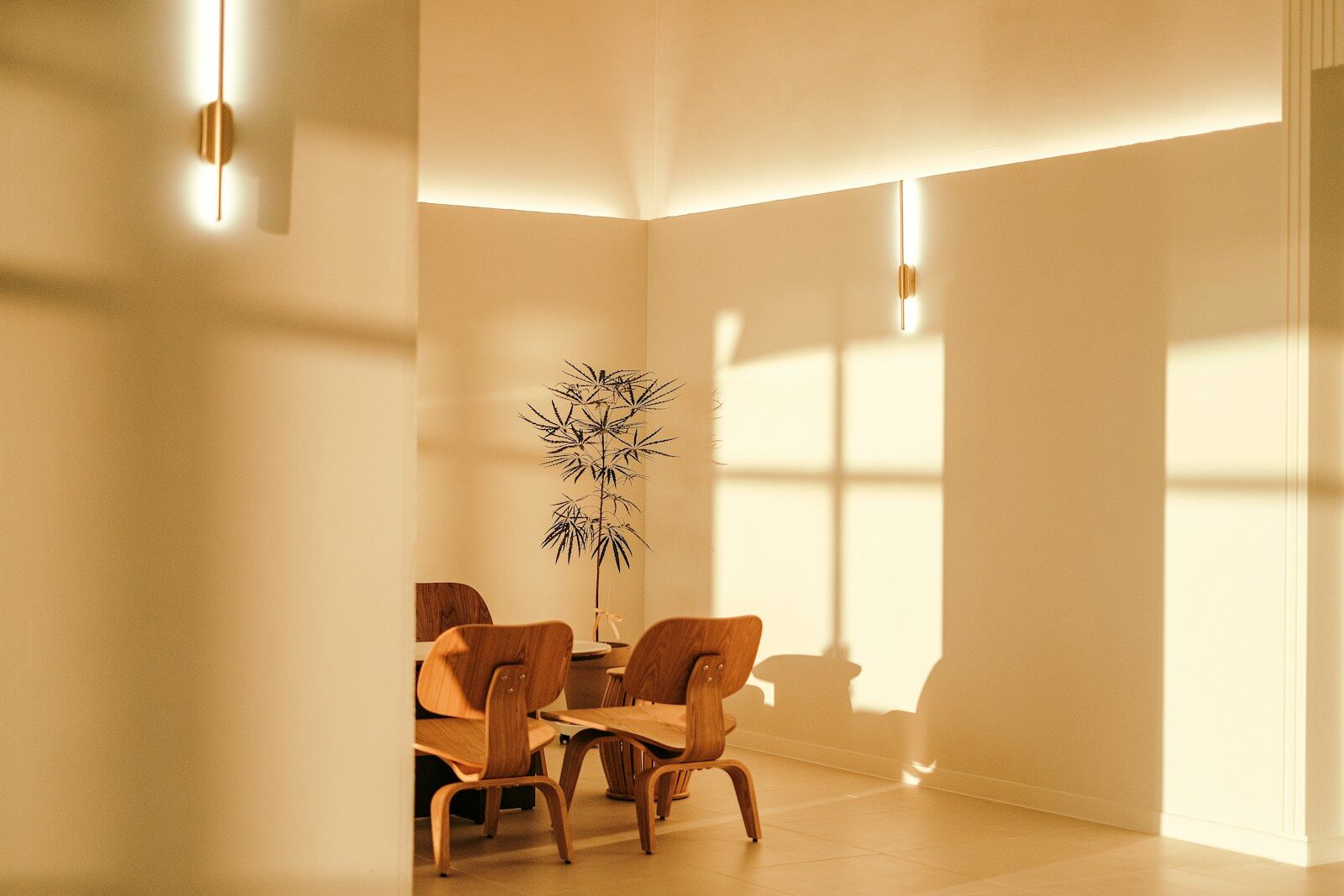 Modern dining room with warm natural light.